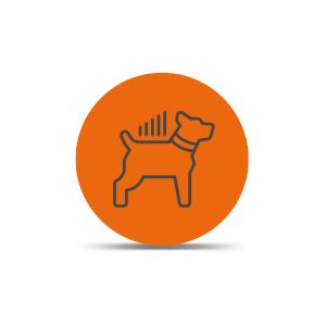 LTE Dog Tracking Plans Annual
