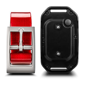 PT 10 Dog Device - Image 4